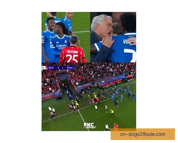 本菲卡调查歧视维尼修斯球迷们