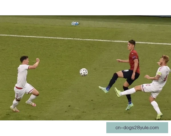 格雷茨卡六冠底气盼奇迹再现今